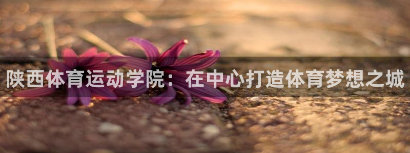 米兰体育官方正版app集团:陕西体育运动学院:在中心打造体育